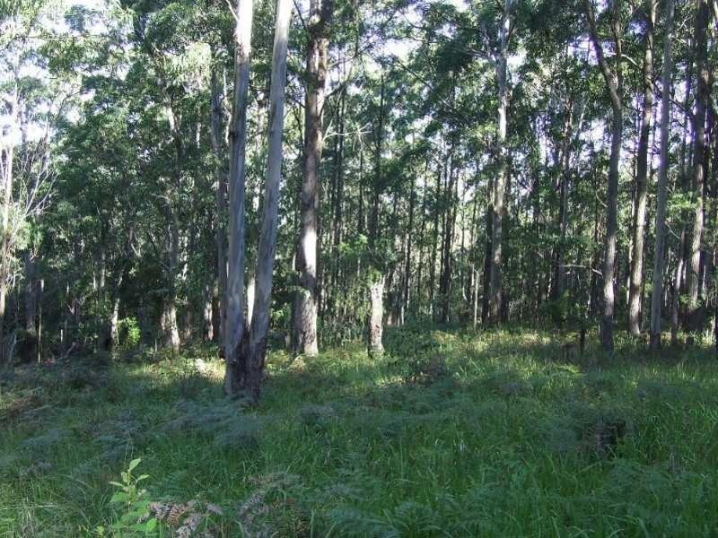 Carrowbrook NSW 2330