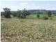 Jerrys Plains NSW 2330