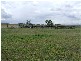 Singleton NSW 2330