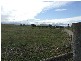 Singleton NSW 2330