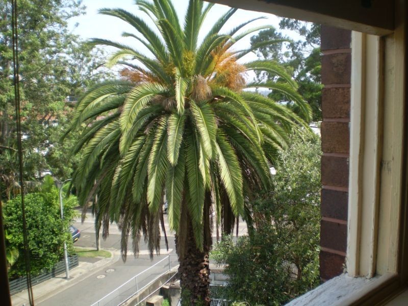 Double Bay NSW 2028