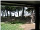 361 Oregan Creek Road, Toogoom QLD 4655