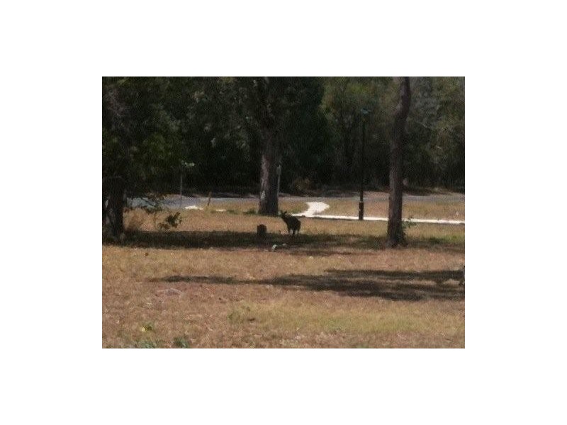 5 Yram Place, Toogoom QLD 4655