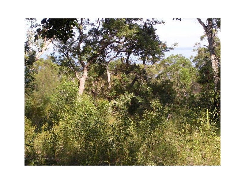 4 Kingfisher Heights – Kingfisher Bay, Fraser Island QLD 4581