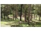 Carters Ridge QLD 4563