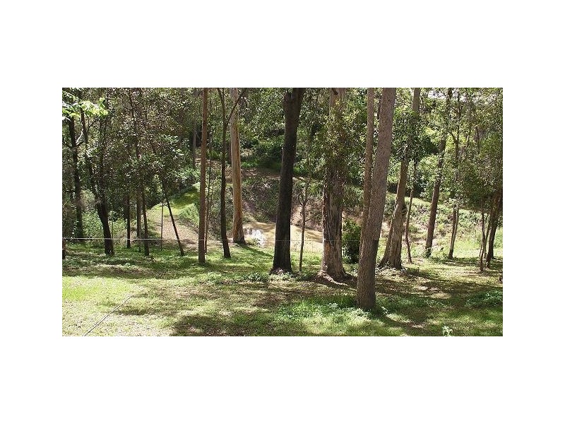 Carters Ridge QLD 4563