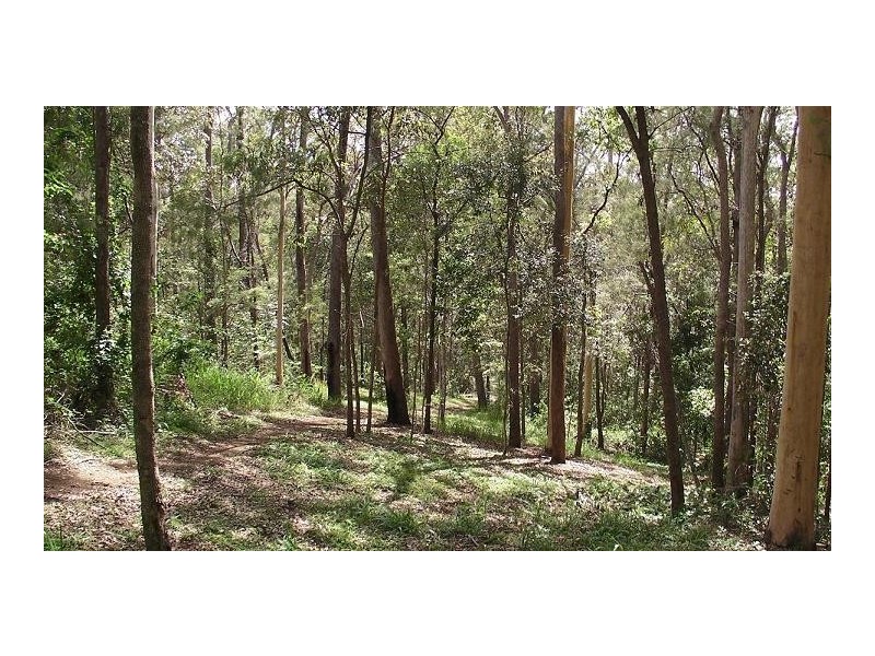 Carters Ridge QLD 4563
