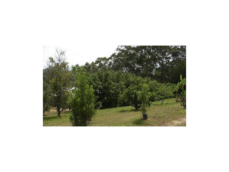 West Woombye QLD 4559