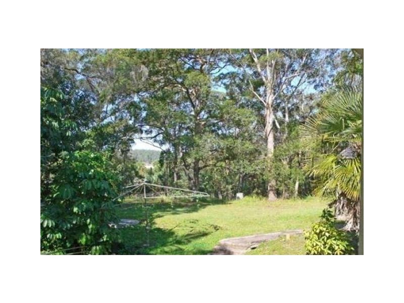 40 Hatfield Road, Eumundi QLD 4562