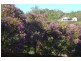 Maroochy River QLD 4561