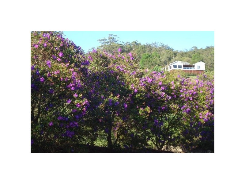 Maroochy River QLD 4561