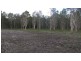Tewantin QLD 4565