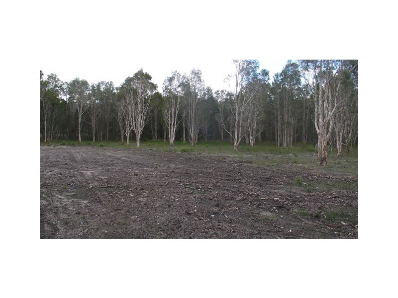 Tewantin QLD 4565