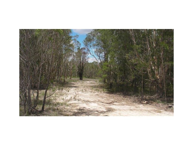 Tewantin QLD 4565