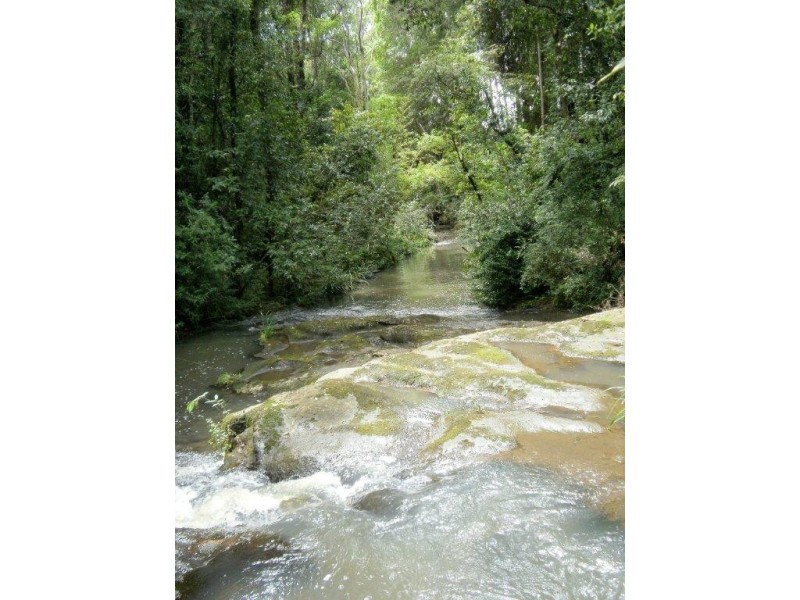 Yandina QLD 4561
