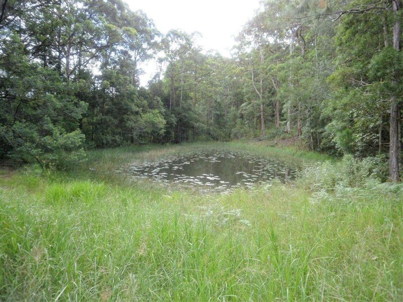 Yandina QLD 4561