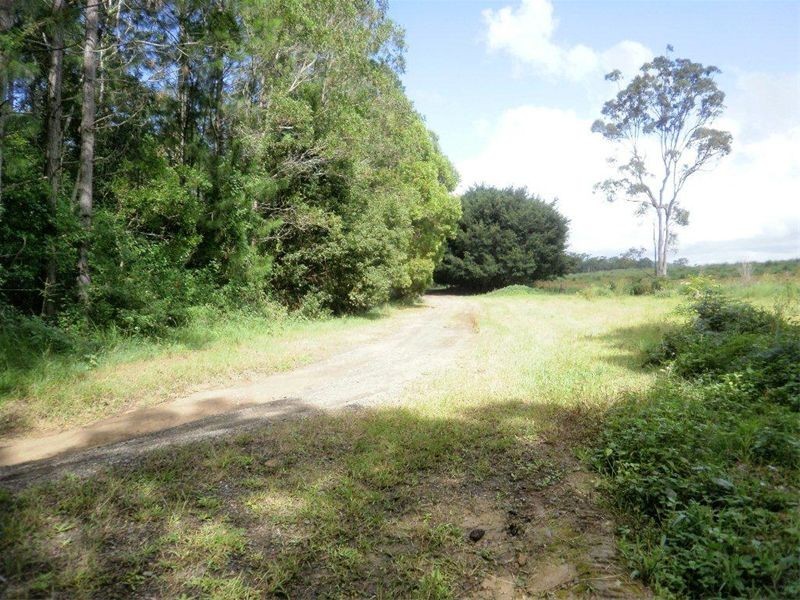 Yandina QLD 4561