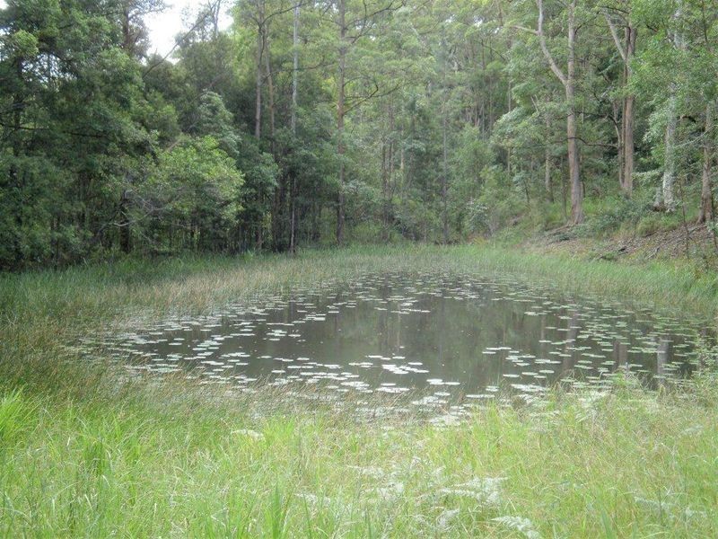 Yandina QLD 4561