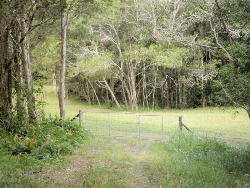 Yandina QLD 4561