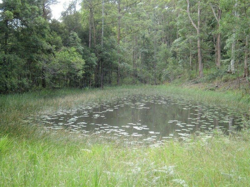 36 Haflinger Road, Yandina QLD 4561