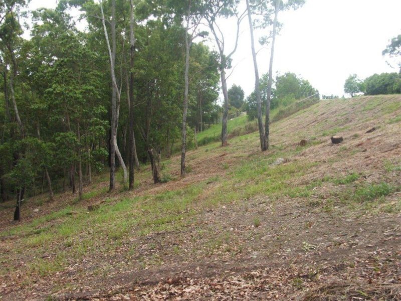 Yandina Creek QLD 4561