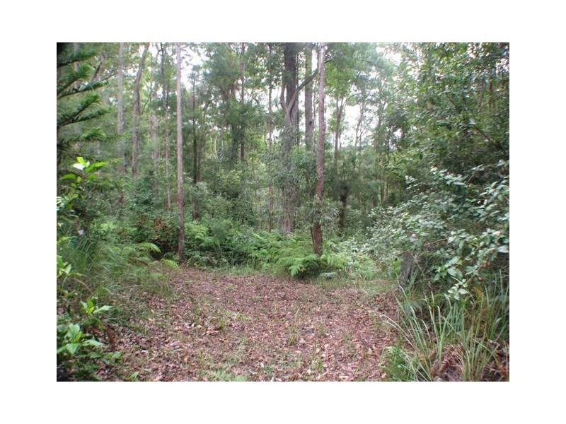 34 Forest Acres Drv, Cooroy QLD 4563