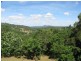 137-141 Sunrise Road, Eumundi QLD 4562