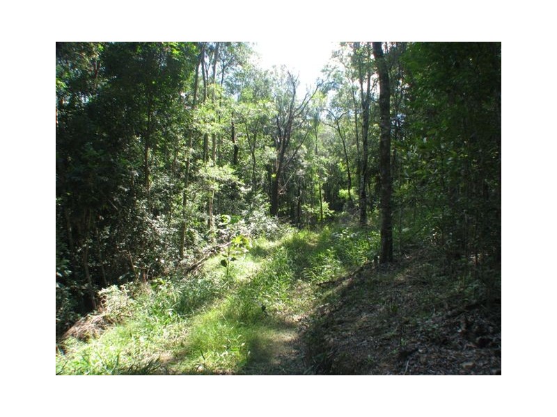 137-141 Sunrise Road, Eumundi QLD 4562