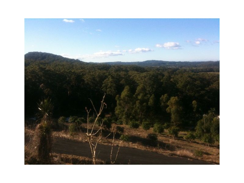 Lot 8, * KROME ROAD, Eumundi QLD 4562