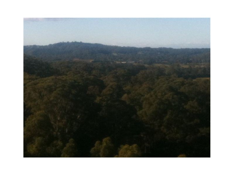Lot 8, * KROME ROAD, Eumundi QLD 4562