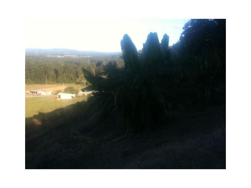 Lot 8, * KROME ROAD, Eumundi QLD 4562
