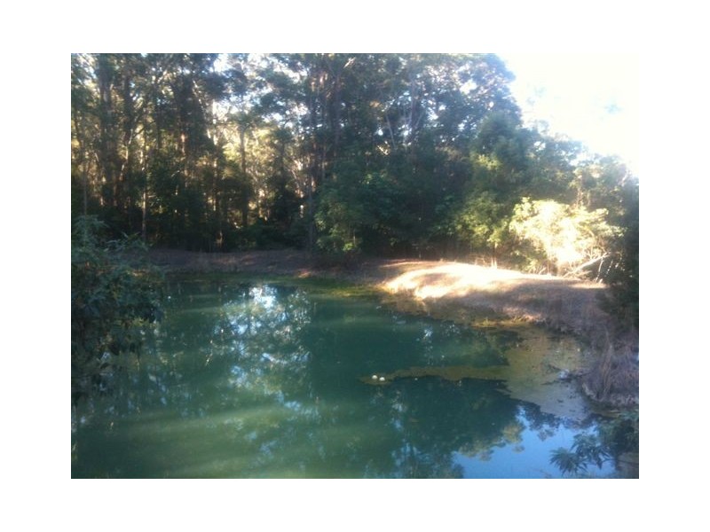 Lot 8, * KROME ROAD, Eumundi QLD 4562