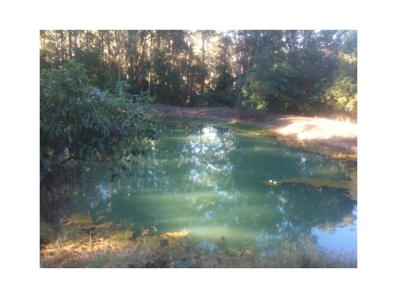 Lot 8, * KROME ROAD, Eumundi QLD 4562