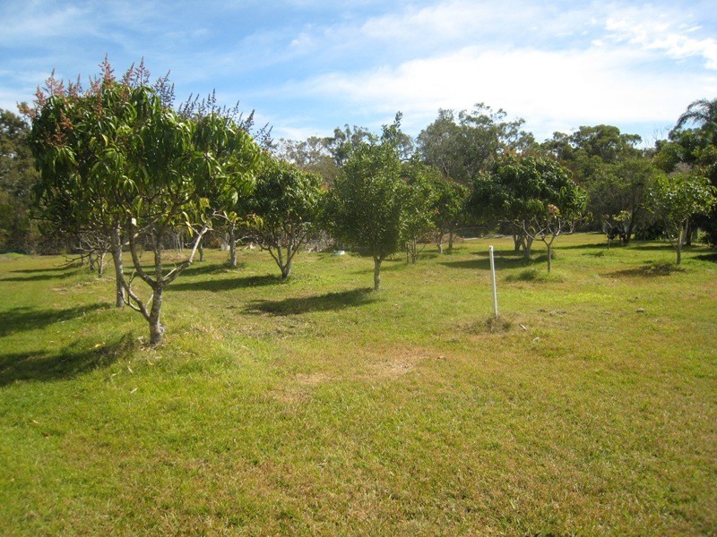 45 Shore Road West, Wondunna QLD 4655