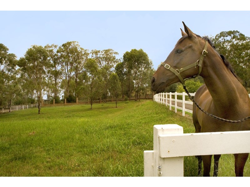 134 Coates Park Road, Cobbitty NSW 2570