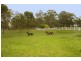 134 Coates Park Road, Cobbitty NSW 2570