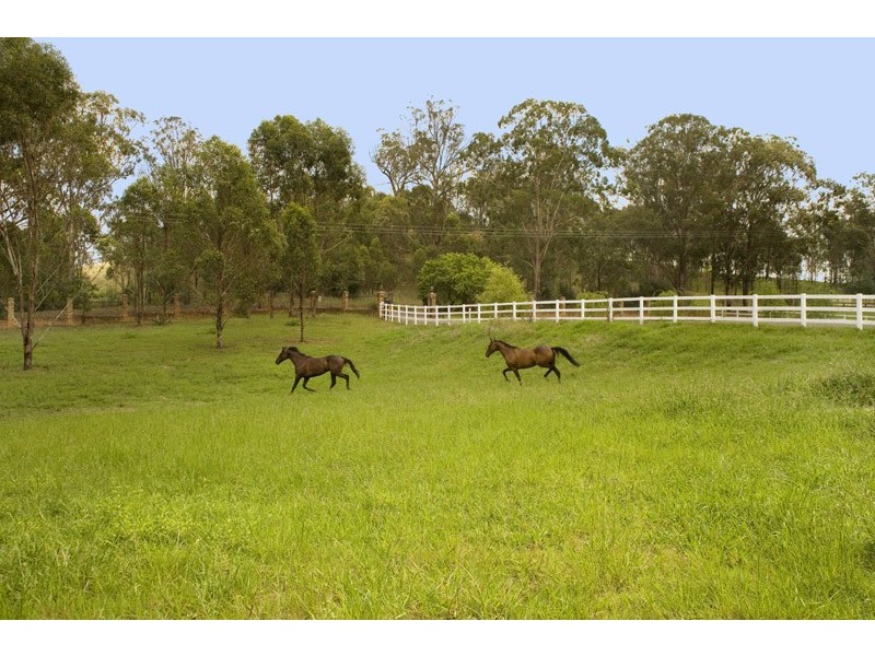134 Coates Park Road, Cobbitty NSW 2570