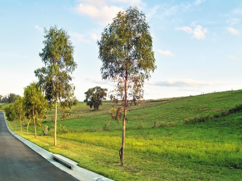 Grasmere NSW 2570