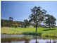 185 River Road, Tahmoor NSW 2573