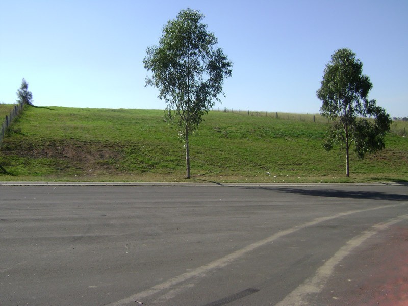 Grasmere NSW 2570