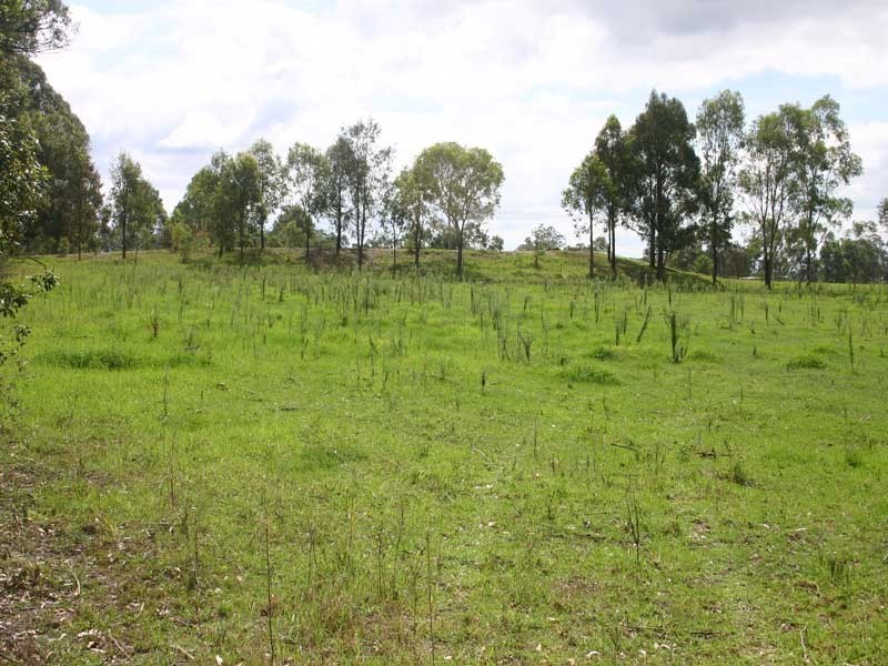 1385 Burragorang Road, Oakdale NSW 2570