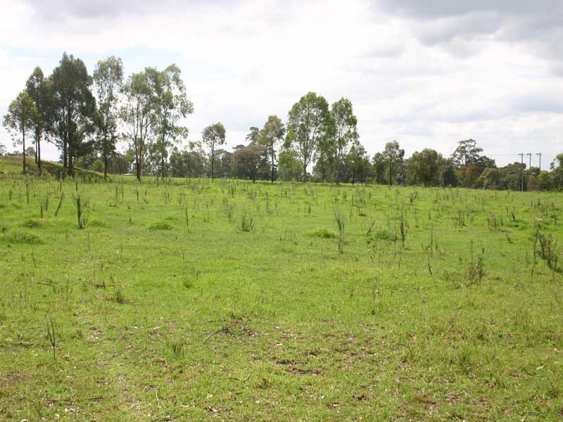 1385 Burragorang Road, Oakdale NSW 2570