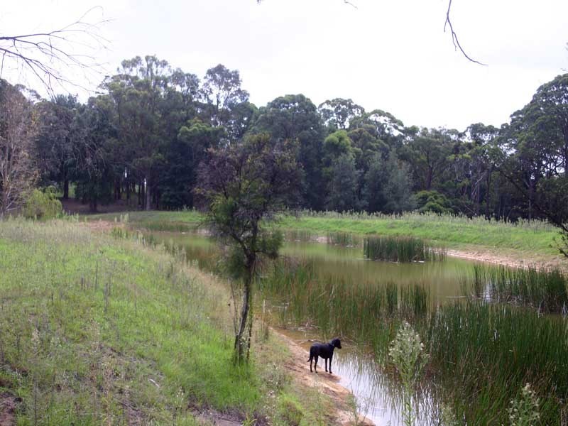 1385 Burragorang Road, Oakdale NSW 2570