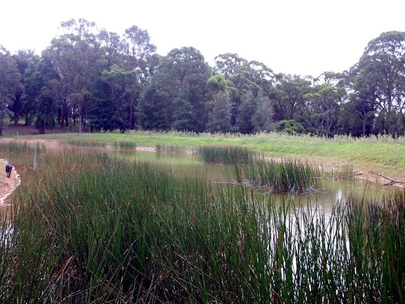 1385 Burragorang Road, Oakdale NSW 2570