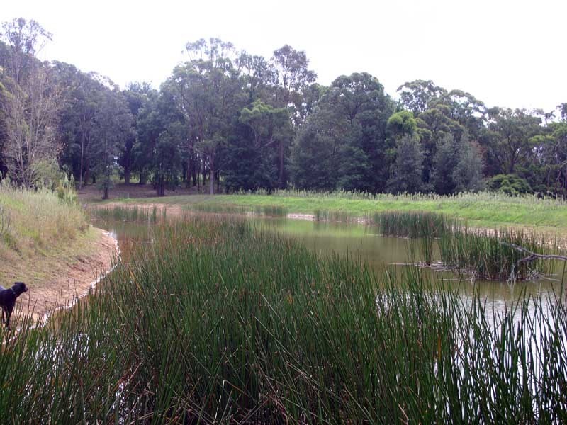 1385 Burragorang Road, Oakdale NSW 2570