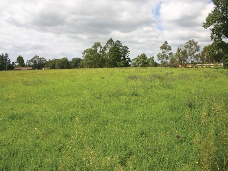 1385 Burragorang Road, Oakdale NSW 2570
