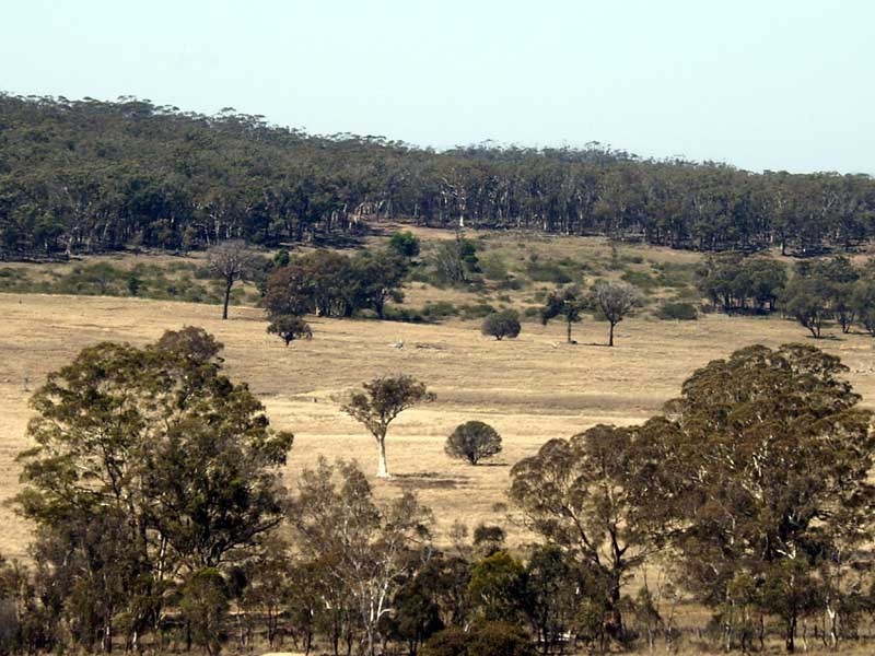 177 Lillyvale Road, Tarago NSW 2580