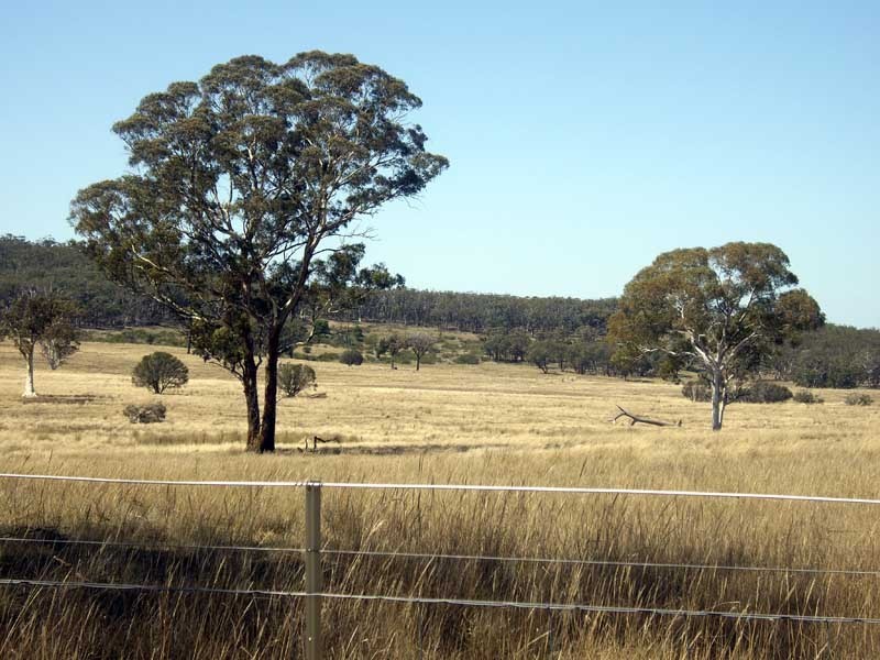 177 Lillyvale Road, Tarago NSW 2580