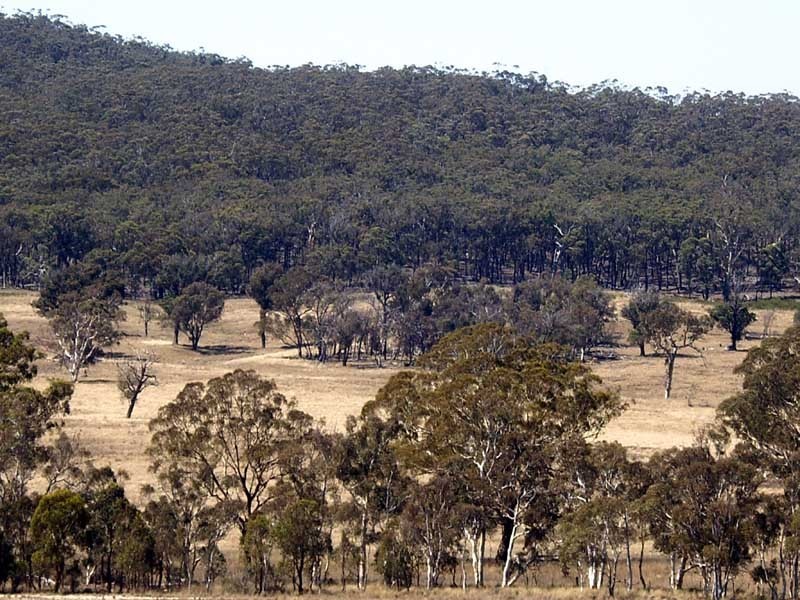 177 Lillyvale Road, Tarago NSW 2580