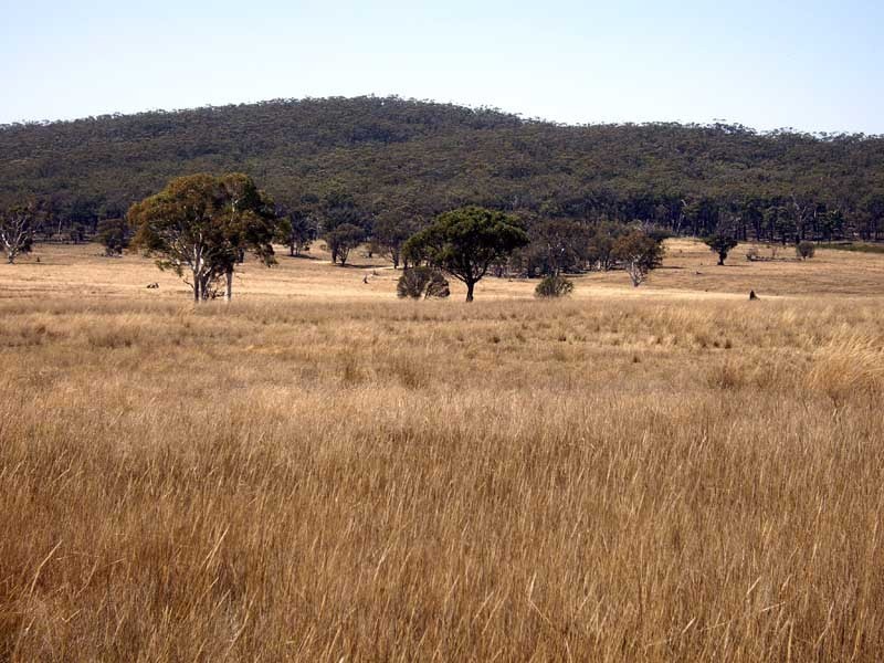 177 Lillyvale Road, Tarago NSW 2580